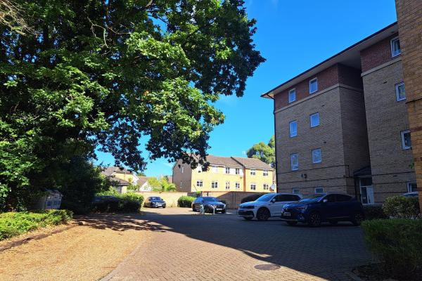 A modern mid-rise block of flats set among trees